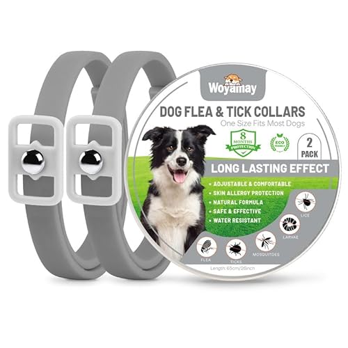 10 Best Flea Colors 2024 There's One Clear Winner BestReviews.Guide