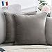 Douceur De Plumes Lot de 2 Housse de Coussin décorative Gris Velours 40x40 cm Uni, Taie d'oreiller Carré Doux et Moderne, Décoration Salon Scandinave Canapé Chambre Lit (2 Gris)