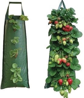 Nutley's Hanging Strawberry Growbag Planter (Pack of 2)