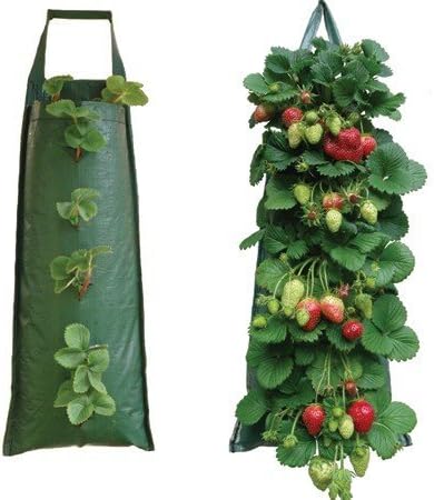 Nutley's Hanging Strawberry Growbag Planter (Pack of 2)