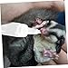 LIOOBO Small Pet Feeder Milk Bottle for Hamster Puppy Kitten Silicone Nipple Portable Nursing Bottle