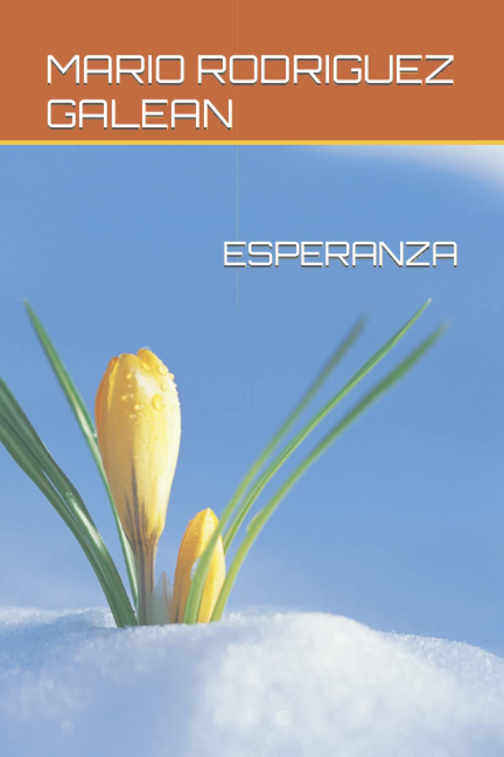 ESPERANZA (Spanish Edition)
