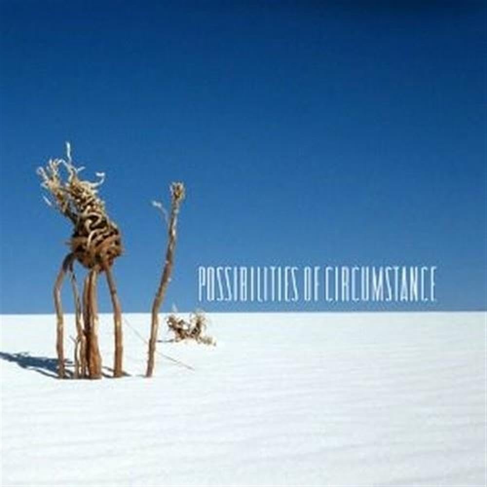 VARIOUS - POSSIBILITIES OF CIRCUMSTANCE [Audio CD] VARIOUS