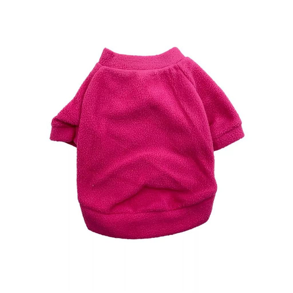 T-shirt pour chien en coton chaud Vetement d'automne confortable taille XS