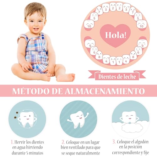 Opiniones y reviews de Cajas para dientes disponible en línea. 6 Imagen adicional