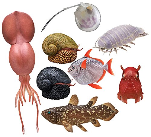 Kitan Club Deep Sea Creature Rubber Toys, Version 2 - Blind Box Includes 1 of 8 Collectable Figurines - Fun and Educational - Authentic Japanese Design
