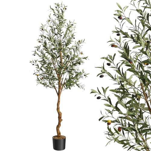 GAOMON Artificial Olive Tree 6FT(72in) Tall Faux Olive Trees with Silk Leaves for Home Office Living Room Decor Indoor Fake Olive Tree with Curved Wood Trunk and Lifelike Fruits 1 Pack