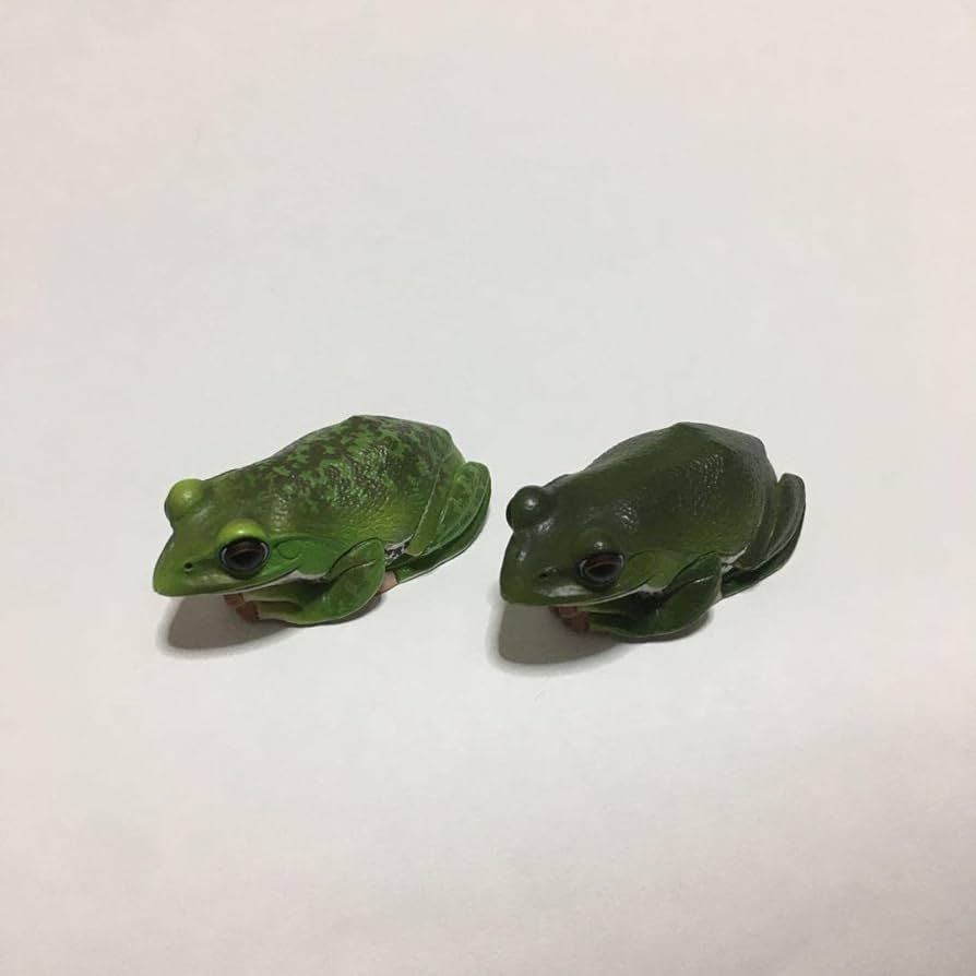 ネイチャーテクニカラー モリアオガエル 日本のカエル 日本の