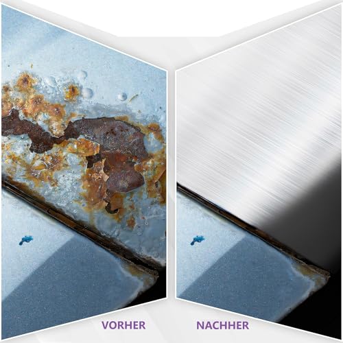 beko Speed-Ex Der Abbeizer 750 ml 299 60 0750