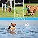 Nobleza Hundeball, Unzerstörbar Hundespielzeug Ball aus Naturkautschuk, Quietschend Interaktives Kauspielzeug, Robuster Hunde Ball, Squeaky Dog Balls, Ø 8cm