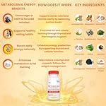 Adrenalwork Adrenal Support & Energy Supplement – Ashwagandha Capsules with Herbal Adaptogens for Mood, Focus & Metabolism – Daily Wellness Formula for Men & Women – 60 Capsules - Image 3