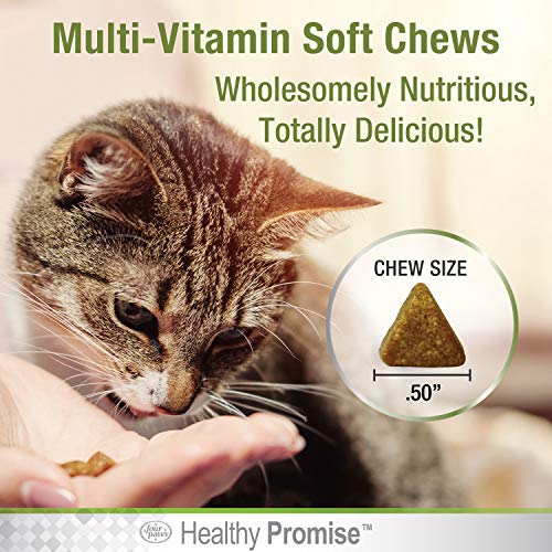 Image of Four Paws Healthy Promise Multi-Vitamins for Cats, 120 Count