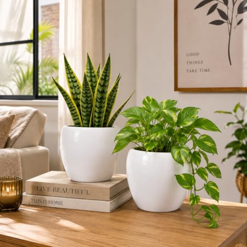 Image of ecofynd 5.1 Inch Ceramic Plant Pots with Drainage Hole, Modern Decorative Clay Flower Pots for Indoor Plants, Home Garden Decor for Living Room, Bedroom & Interior Spaces (Pack of 2, CPOT047-WHT)