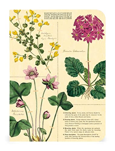 Mini Bloc-Notes Cavallini Herbier assortiment de 3 carnets premium aux finitions d'archives - 3