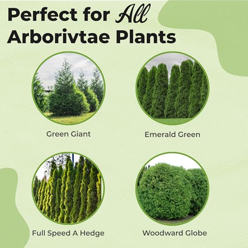 Perfect Plants Liquid Evergreen Food
