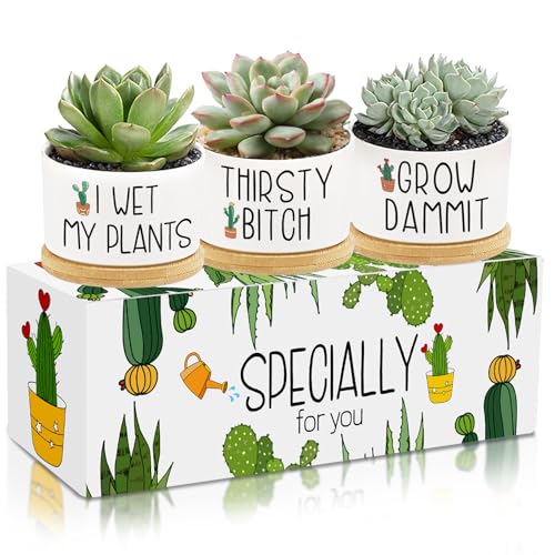 Tarklanda 3Pcs Funny Succulent Pots