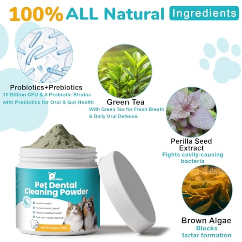 Dog with healthy teeth after using dental powder