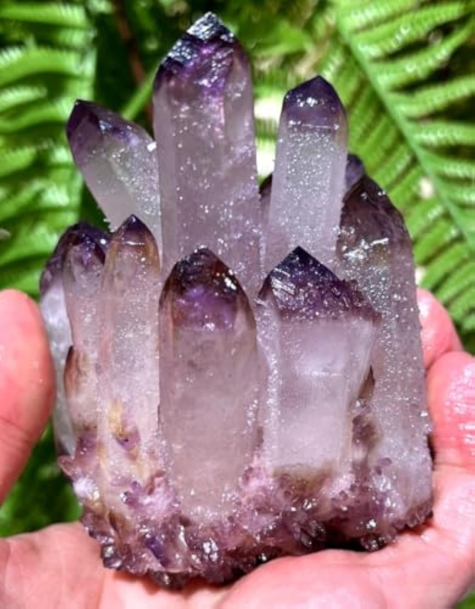 Cactus Quartz Cluster with Phantom Inclusions for Healing