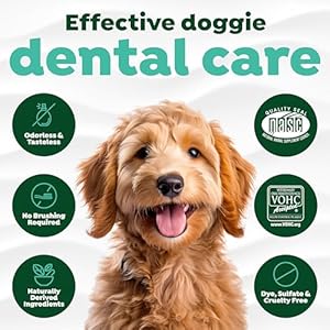 TropiClean Fresh Breath Water Additive for Dogs | Dog Breath Freshener & Teeth Cleaning Solution | No Toothpaste or Toothbrush Required | 33.8 oz TropiClean Fresh Breath Water Additive for Dogs Dog Breath Freshener Teeth Cleaning Solution No Toothpaste or Toothbrush Required 338 oz