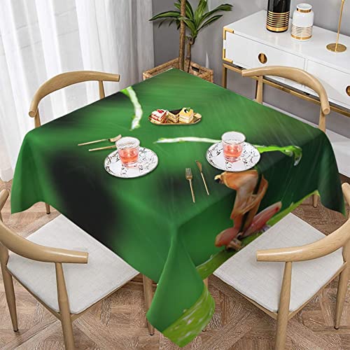Nappe carrée grenouille résistante à l'eau pour éviter les taches