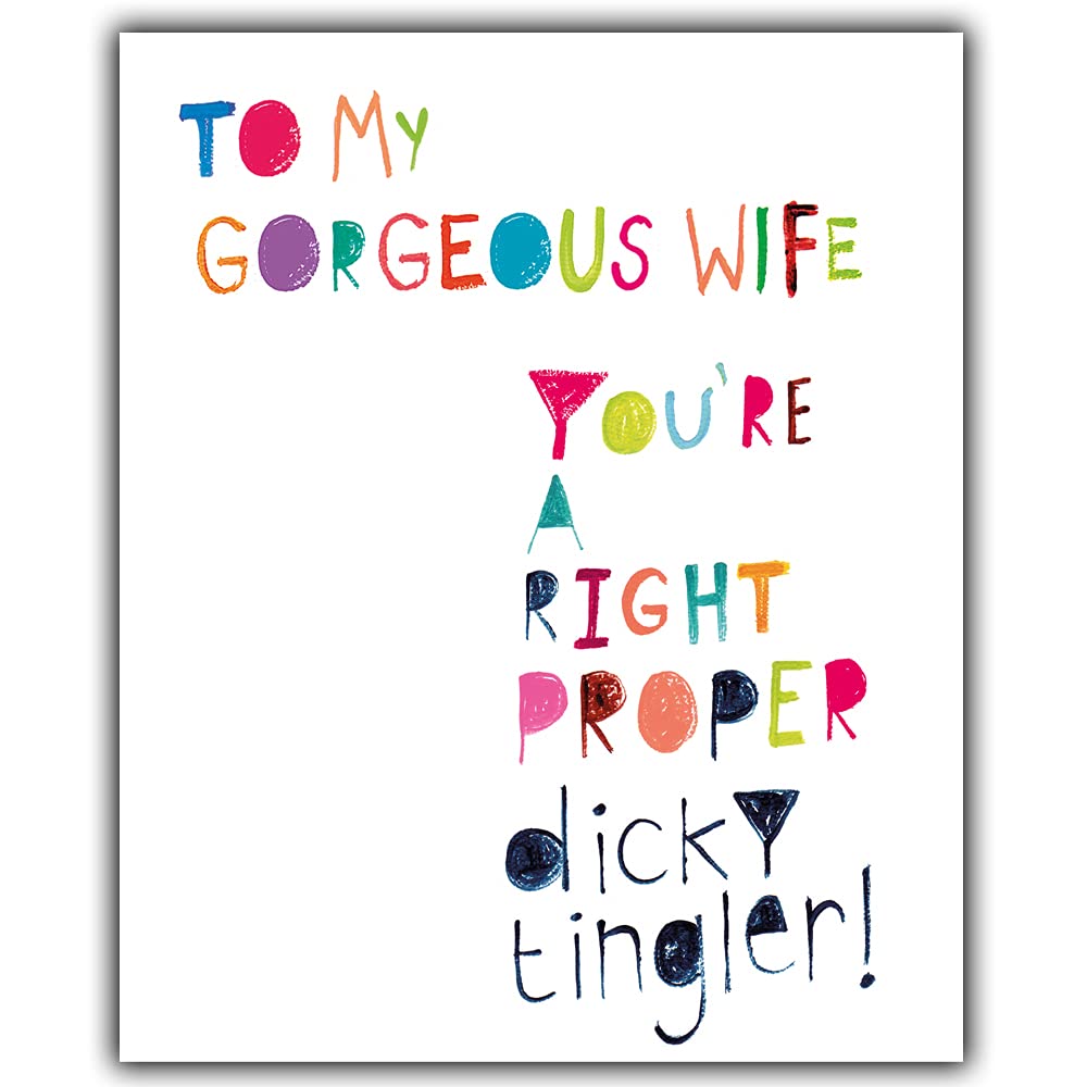 Emotional Rescue Funny Wife Birthday Card, Rude Wife Birthday Card, Birthday Card Gorgeous Wife, Tingler, Paper Salad. Birthday Card Wife, Multi, ZFW9384,6 x 7 inch