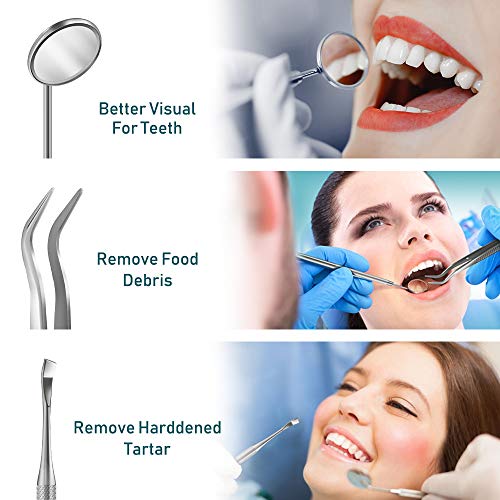 Dental Tools, Terresa 9 Pack Dental Pick Stainless Steel Dental Scaler Hygiene Kit, Dental Scraper and Mouth Mirror, Teeth Cleaning Tool for Dentist, Home & Pet Oral Care Set with Leather Case