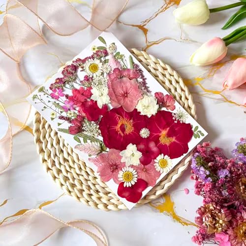 Flores secas prensadas rojas para manualidades 52 piezas miniatura 2