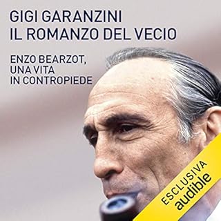 Il romanzo del vecio copertina