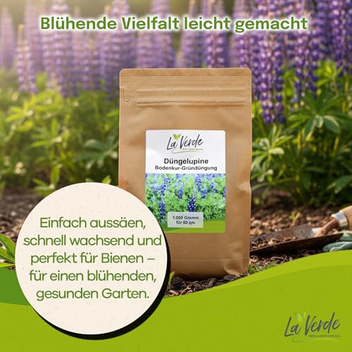 Lupinen-Samen Düngelupine für Gründüngung und Bodenverbesserung