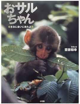 51uLd3WfkrL._AC_UF350,