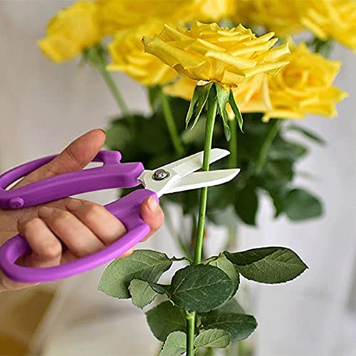 Büroschere, Bastelschere, Blumenschere, Edelstahl, Küchenschere, Gartenschere, Baumschere, Gartenschere, Astschere, Schneider, Blumenladenschere Scheren
