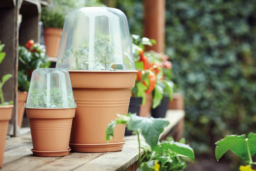 Elho Green Basics Grow House Round 30 - Accesorio por Interior y Exterior cultívalo tú mismoaccesorios - Ø 30.0 x H 23.1 cm - Transparent