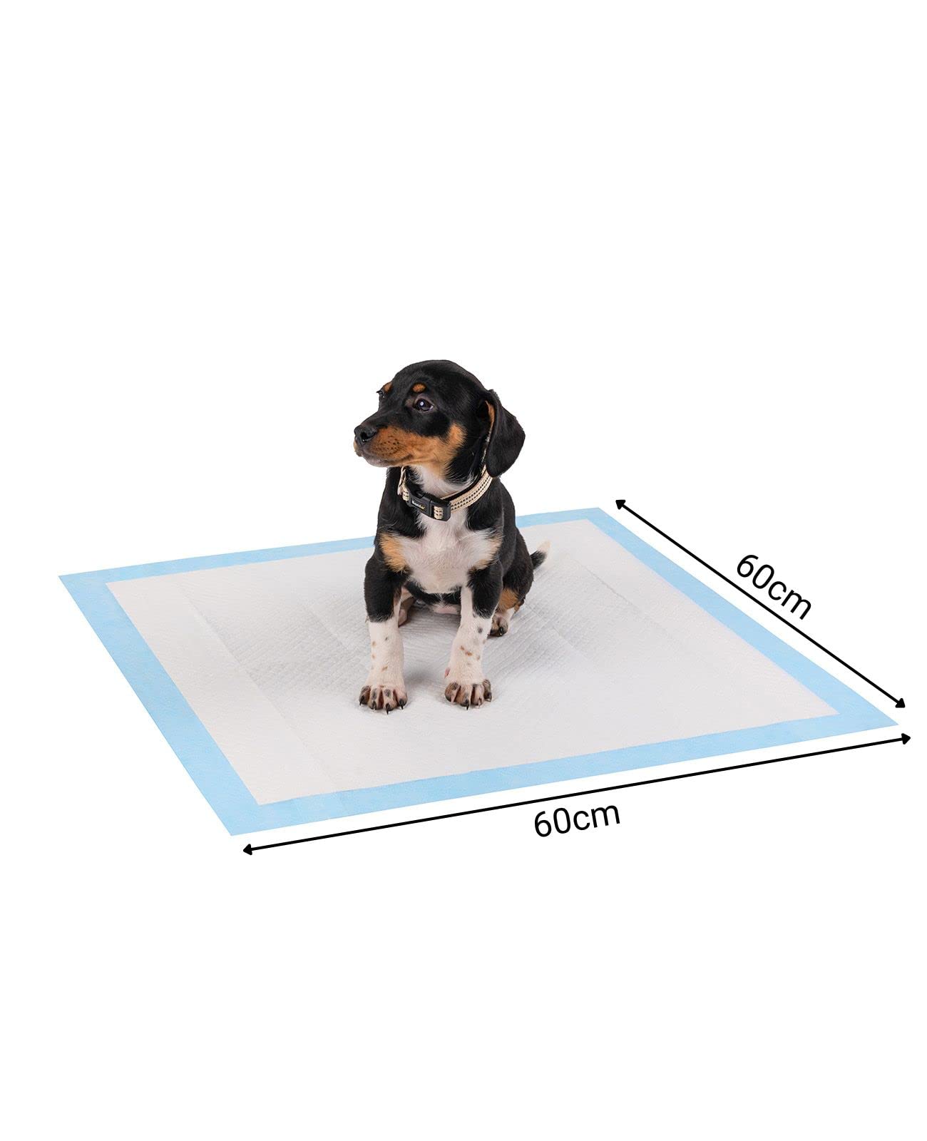 Tappetini Assorbenti Per Cani – 40 Pezzi 60x60 Cm, A Prova Di Perdite, Con Carboni Di Bambù E Controllo Odori