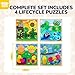 TOY Life Wooden Puzzles for Toddlers 2-4, 4 Pack Life Cycle of Animal Puzzle for Toddlers 1-3, Montessori Toys Gifts for 1 2 3 Year Old Boy Girl, Kids Learning Toy Educational, Baby Puzzles 12-18