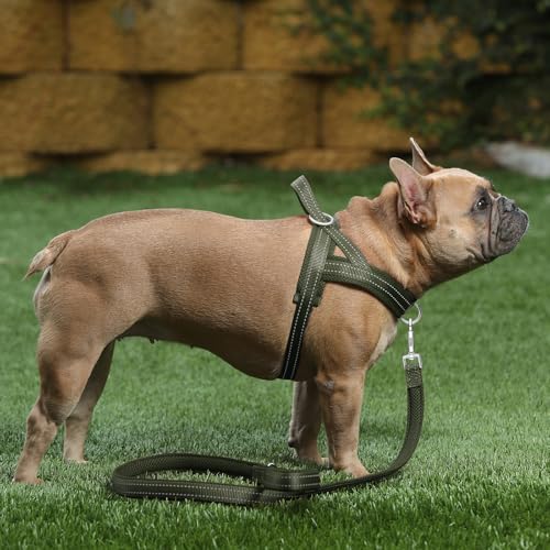 Image of Plutus Pet No Pull Dog Harness for Small Dogs, Breathable Mesh Padded
