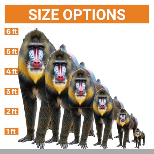 Image of Mandrill 1FT Life Size Cardboard Cutout for Party Decor, 1 PC | Fun Animal Standup for Events, Birthday Parties, Photo Booth, Holiday Celebrations, Office Decor, Wedding, and More