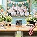 Photo Booth Sign Desk Decor for Wedding Photobooth Props Funny Birthday Party Graduation Table Desktop Decorations