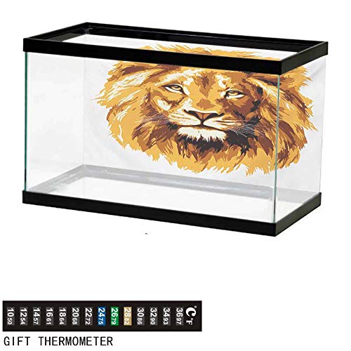 Best Background For Aquarium 110 Gallon