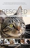 Rescued Volume 2: The Healing Stories of 12 Cats, Through Their Eyes
