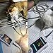 Veterinary Pulse Oximeter, Handheld Dog Vet Oximeter, Pets Pulse Rate Monitor, Ear/Tongue SPO² Sensor, 2.8in Display, for Cats, Dogs, and Small Animals