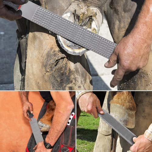 LALAGO Hufraspel mit Gummigriff, Fein + Grob Doppelseitiges Hufraspel aus Kohlenstoffstahl, Größe 320x44x5mm, Hufraspel für Pferd Ziege Kuh Esel Tier Hufe, Hufschmied Werkzeug