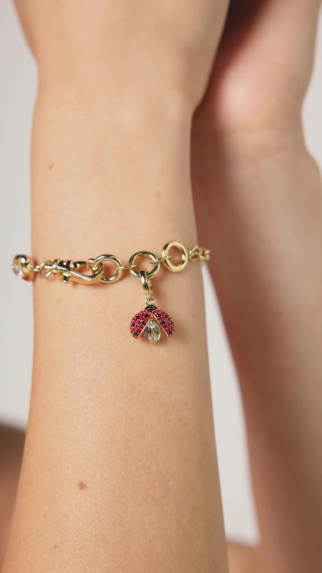 Amazon.com: Swarovski Idyllia charm, Mixed cuts, Ladybug, Red