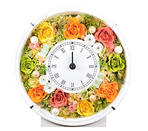 Ԏv vU[uht[ XtXL[ IW gsJJ[ j t[Mtg