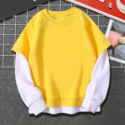 Toddler 𝐂olor Block Sweatshirts Lightweight Crew Neck Drop Shoulder Pullovers Kids Ribbed Trim Casual Loose Tops2
