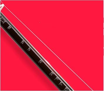 FLFL 2-String Violin Chinese Erhu Two Strings with Accessories and Bow Suitable for Beginner Beginners Erhu