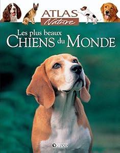 Livres Couvertures de Les plus beaux chiens du monde