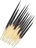 Zhuluck 6 Pcs Porcupine Quills Hair Stick Indian Crafts Accessories Fishing Buoy DIY Sewing Project Kits Arts&comma; Crafts and Sewing