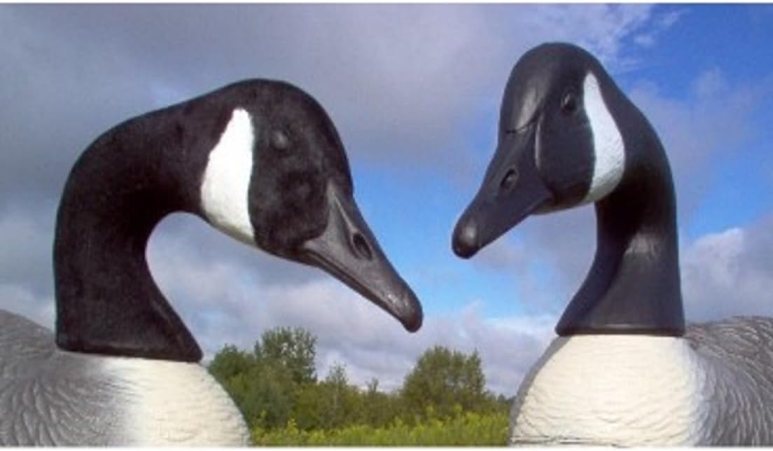 Canada Goose Decoy Head Flocking Kit - 50 Heads