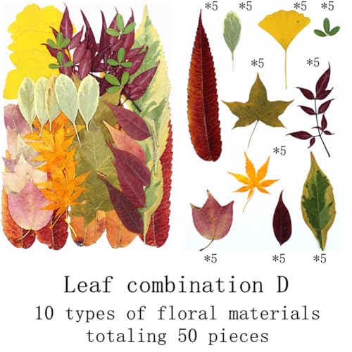Kit de 50 hojas y flores secas prensadas naturales miniatura 2