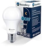 Night2Day Dusk to Dawn LED Light Bulb by Boundery - E26 Solar Sensor LED Bulb for Dusk to Dawn Outdoor Lighting - 8W=100W, 120VAC - Porch & Patio Lights for Outdoor and Indoor Use - (1 Bulb)